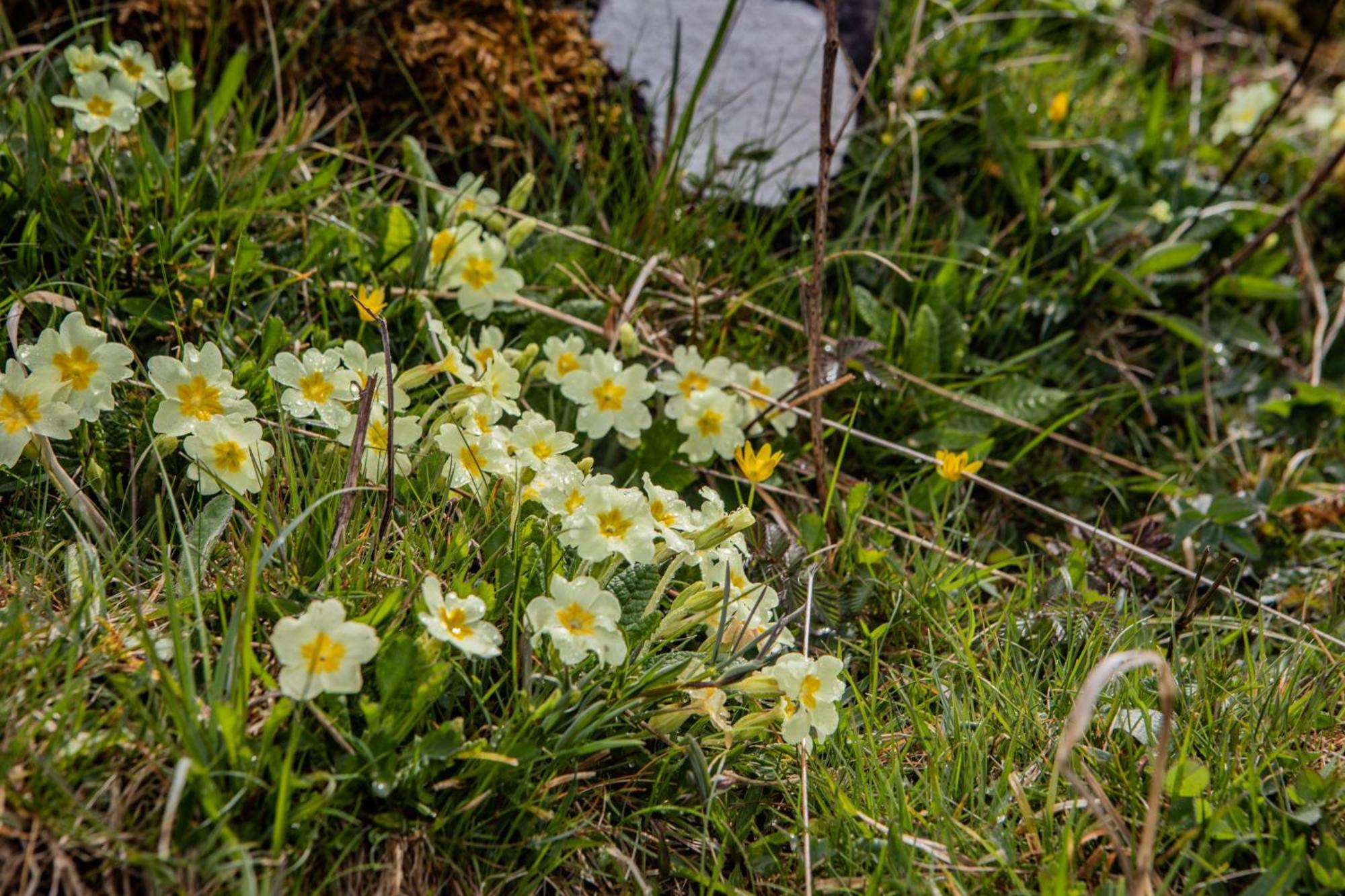 Edinbane Self Catering - On The Croft At Edinbane Villa Esterno foto