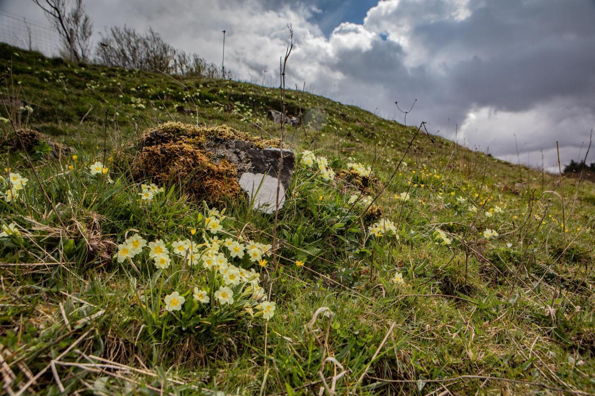 Edinbane Self Catering - On The Croft At Edinbane Villa Esterno foto